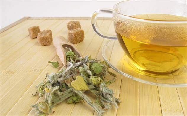 Хотя греческие чаи не пьют, есть один вид, который они особенно ценят из-за их полезных свойств